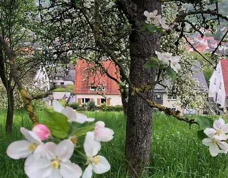 Dalhausen, Am Schoenste Aussicht Ferienhaus *