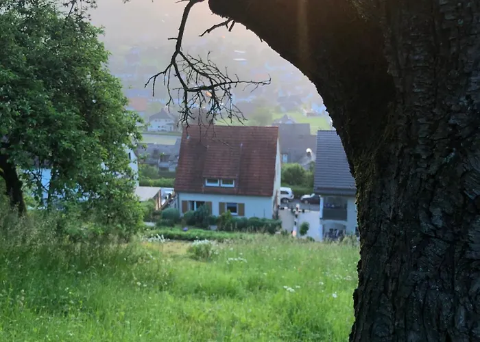 Dalhausen, Am Schönste Aussicht Ferienhaus *